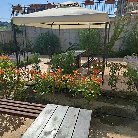 Sunny Holidays بايالا