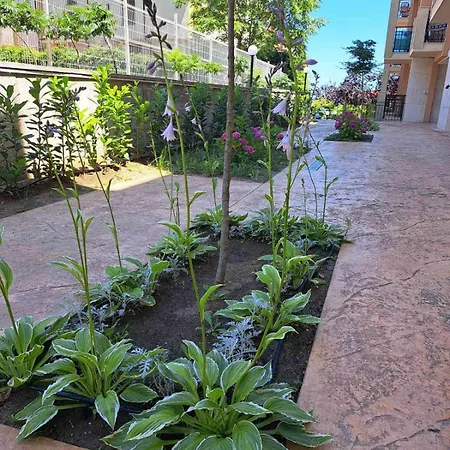 شقة Sunny Holidays